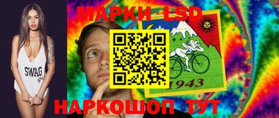 шишки Гай