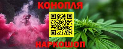 шишки Гай