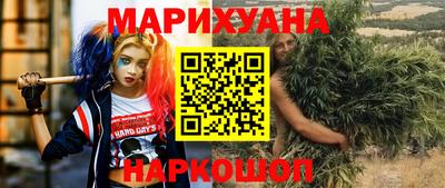 шишки Гай