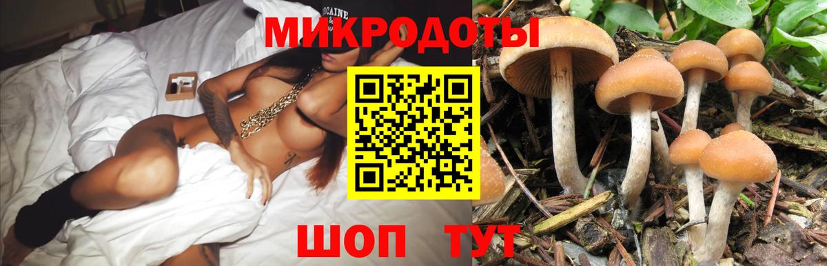 Галлюциногенные грибы MAGIC MUSHROOMS  Вход с VPN  Пушкино 